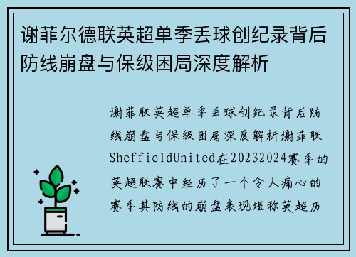 谢菲尔德联英超单季丢球创纪录背后防线崩盘与保级困局深度解析